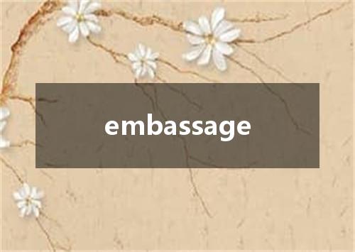 embassage是什么意思