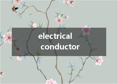 electrical conductor是什么意思