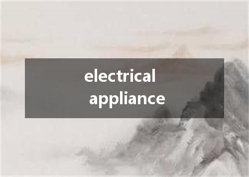 electrical appliance是什么意思