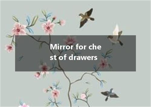 Mirror for chest of drawers是什么意思