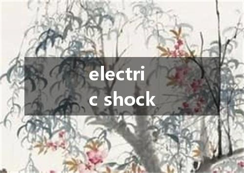 electric shock是什么意思
