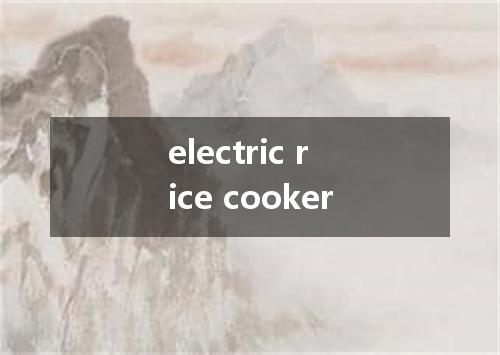 electric rice cooker是什么意思