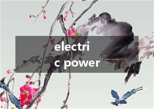electric power是什么意思
