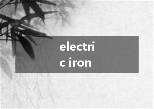 electric iron是什么意思
