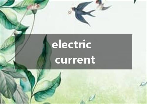 electric current是什么意思