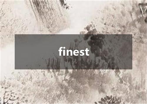 finest是什么意思