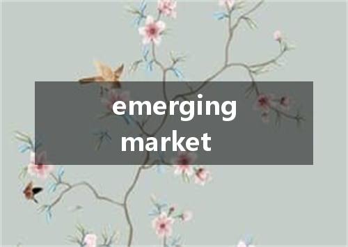 emerging market是什么意思