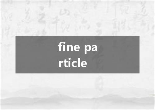 fine particle是什么意思