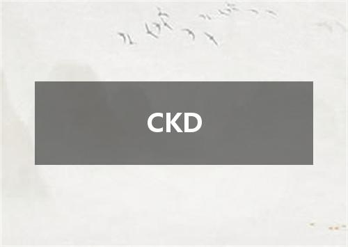 CKD是什么意思