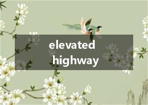 elevated highway是什么意思
