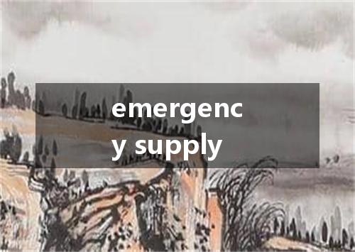 emergency supply是什么意思
