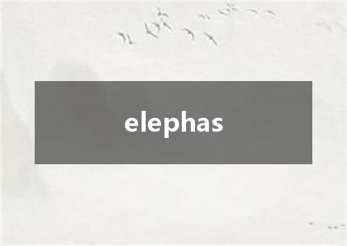 elephas是什么意思