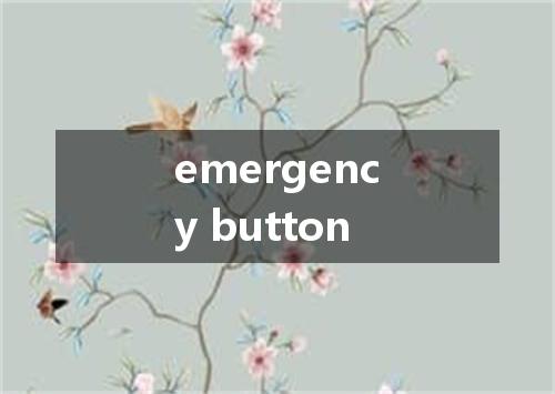 emergency button是什么意思