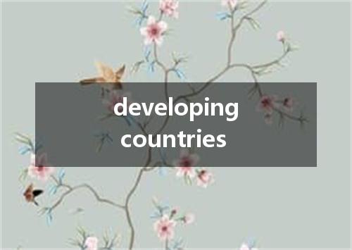 developing countries是什么意思