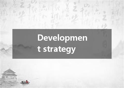 Development strategy是什么意思
