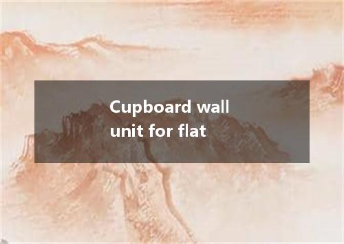 Cupboard wall unit for flat是什么意思