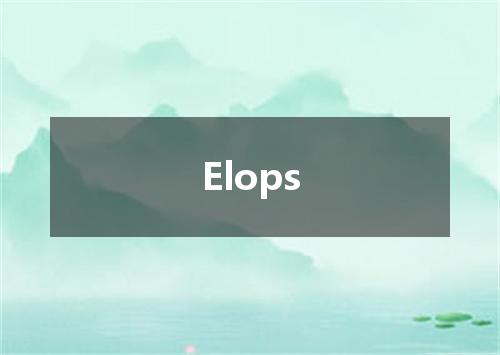 Elops是什么意思