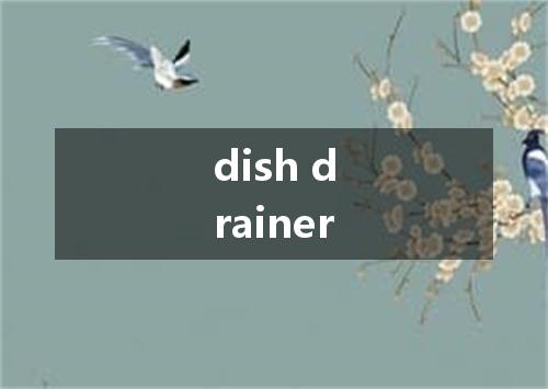 dish drainer是什么意思