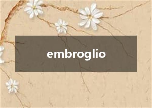 embroglio是什么意思