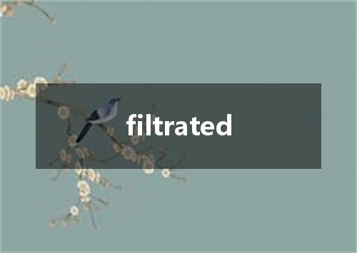filtrated是什么意思