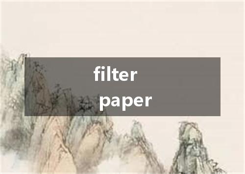 filter paper是什么意思