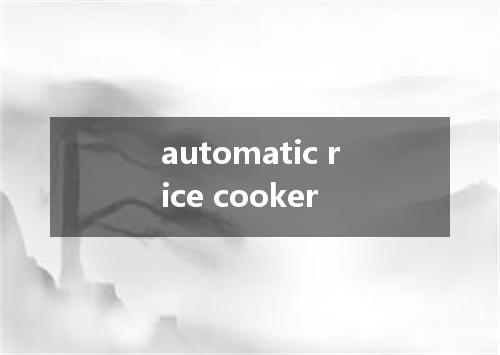 automatic rice cooker是什么意思