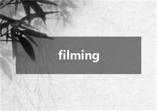 filming是什么意思