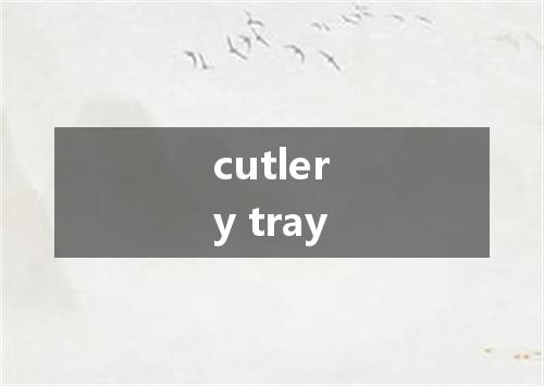 cutlery tray是什么意思