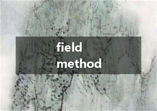 field method是什么意思