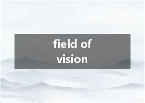 field of vision是什么意思