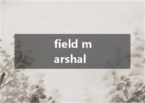 field marshal是什么意思
