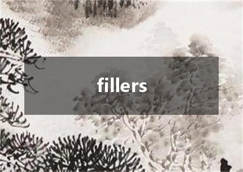 fillers是什么意思