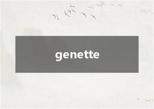 genette是什么意思