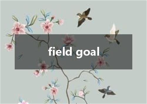 field goal是什么意思