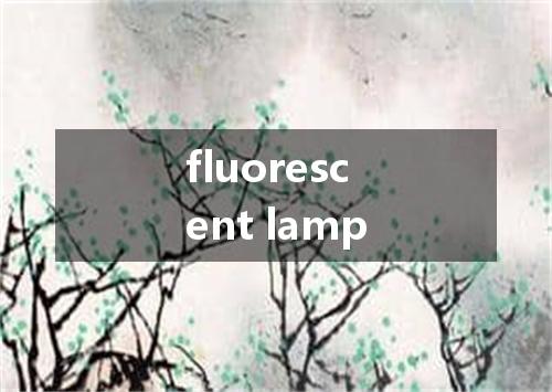 fluorescent lamp是什么意思