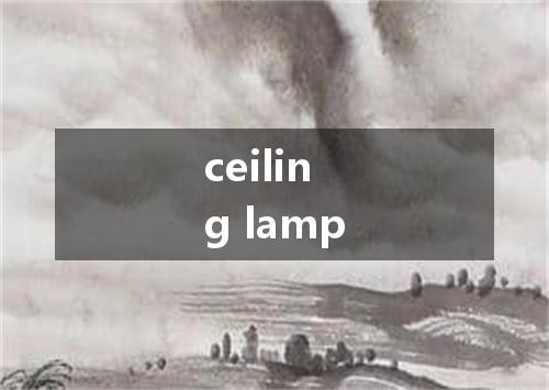 ceiling lamp是什么意思