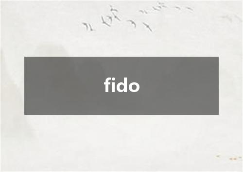 fido是什么意思