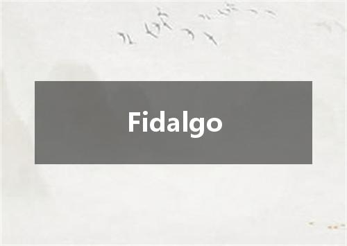 Fidalgo是什么意思