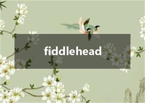 fiddlehead是什么意思