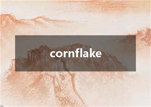 cornflake是什么意思