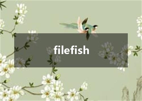 filefish是什么意思