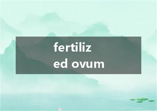 fertilized ovum是什么意思