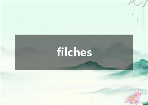 filches是什么意思