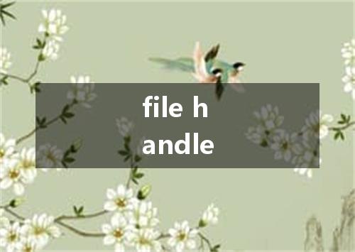 file handle是什么意思