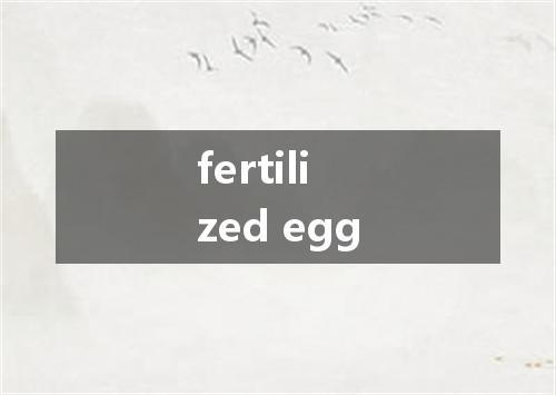 fertilized egg是什么意思