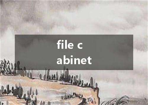 file cabinet是什么意思