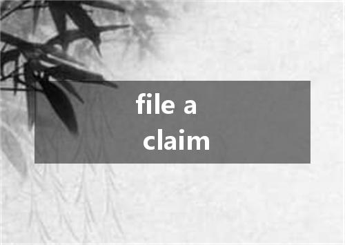 file a claim是什么意思