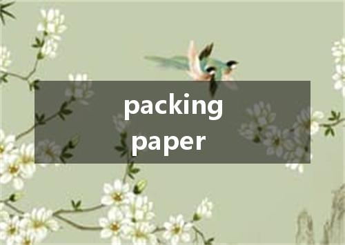 packing paper是什么意思