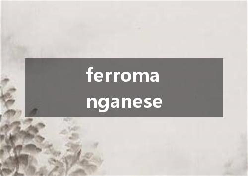 ferromanganese是什么意思