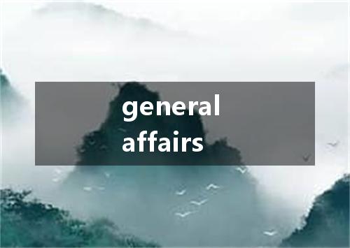 general affairs是什么意思